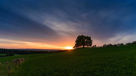 50,000+ Best Fields Photos · 100% Free Download · Pexels Stock Photos