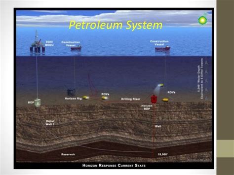 Petroleum Geology