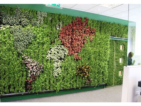 Living Plant Walls - Workstations