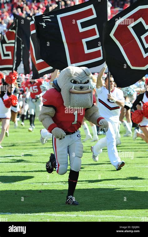 Georgia state university mascot hi-res stock photography and images - Alamy