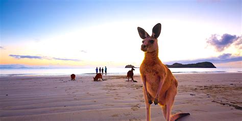 Top 10 Things to Do in Mackay, QLD, 2024 - Top Oz Tours