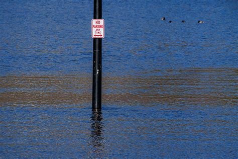 Flooded Sugar House Park | Trent.Photo