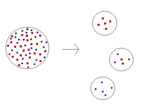 Speciation Jeopardy Template