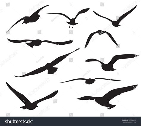 Siluetas de gaviotas sobre el fondo: vector de stock (libre de regalías) 389840038 | Shutterstock