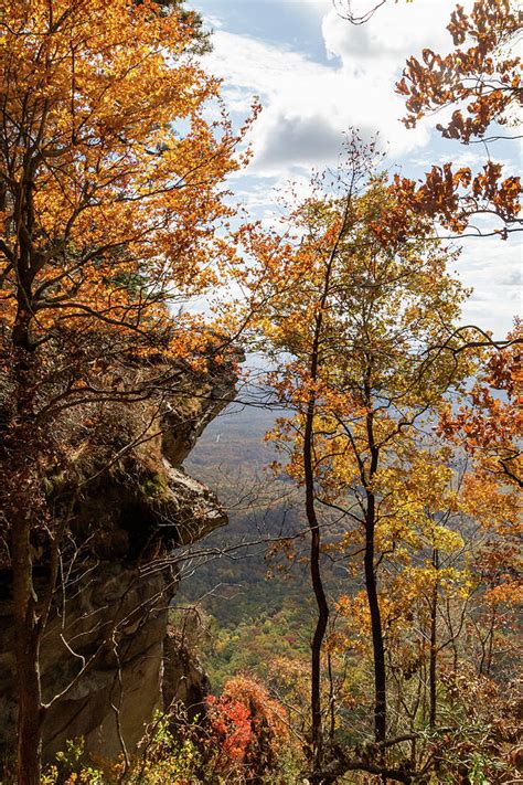 Fall Foliage at Caesar's Head State Park Photograph by Cindy Robinson - Fine Art America