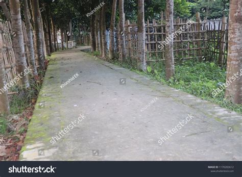 Graves Muslim Cemeterymuslim Graveyard Surrounded By Stock Photo 1170283612 | Shutterstock