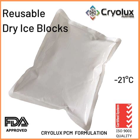 Food & Medical Grade Reusable Cryoblock Dry Ice packs 1000 Grams - Dry Chill Temperature ...