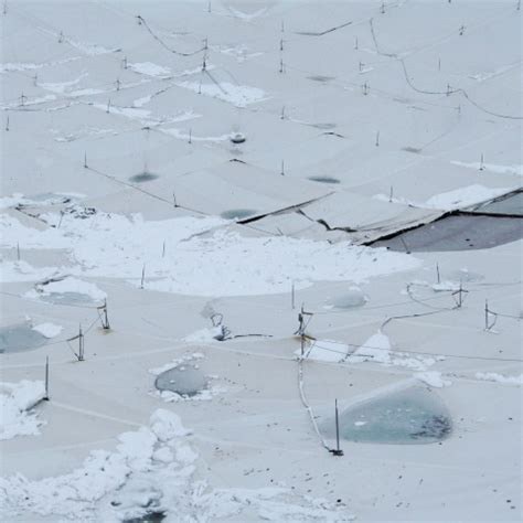 Metrodome Roof Collapse — Pinnacle Engineering: Midwest Environmental Consulting