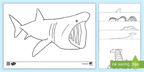 Under the Sea Creatures Colouring Sheets - Primary Resources