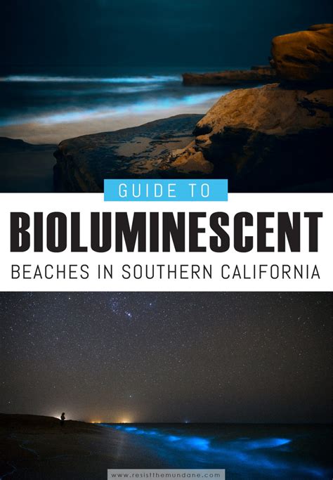 Visit a Bioluminescence Beach in Southern California – Resist the Mundane