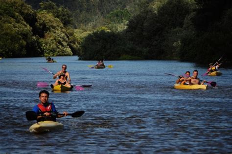 Kayaking on the Mondego river, Coimbra, Central Portugal | Go Discover ...