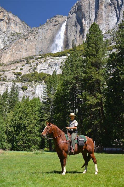 Yosemite National Park | Park ranger, National parks, Yosemite