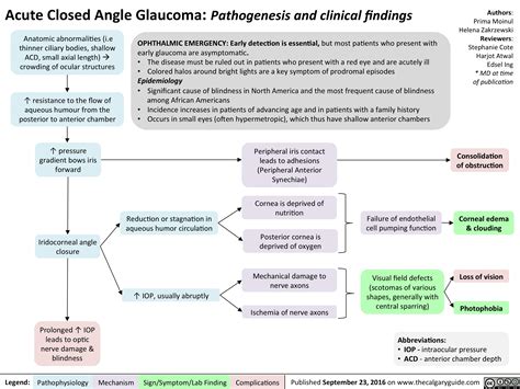 Acute Closed Angle Glaucoma: Pathogenesis and Clinical Findings ...