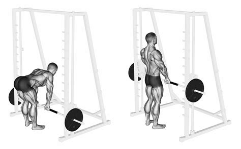 Smith Machine Stiff Leg Deadlift | Stiff leg deadlift, Deadlift, Smith machine deadlift