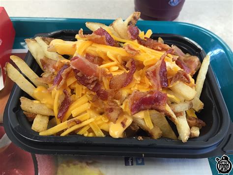 FATGUYFOODBLOG: WENDY'S BACONATOR FRIES!