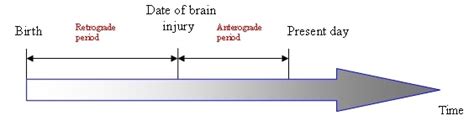 Anterograde Amnesia | Symptoms, Causes, Illness & Condition