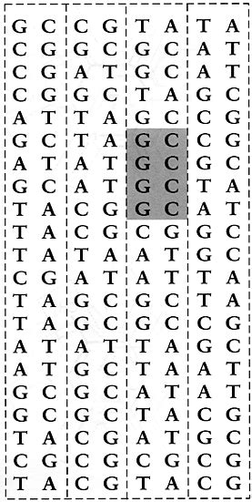 Base Sequence Of Dna