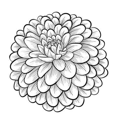 1000+ images about Flower line drawings | How to draw ... - ClipArt Best - ClipArt Best