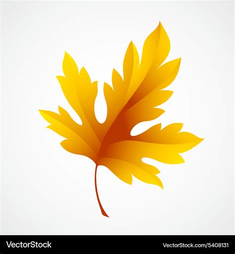 Fall leaf isolated in white Royalty Free Vector Image