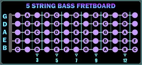 5 String Bass Fret Chart | My XXX Hot Girl