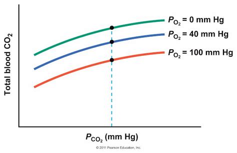 What Is The Difference Between Bohr Effect And Haldane, 53% OFF