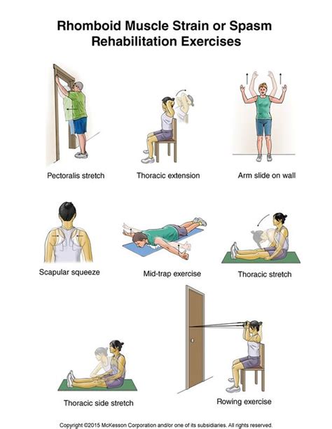 78 Best images about Shoulder Exercises on Pinterest | Muscle, Bone density and The muscle