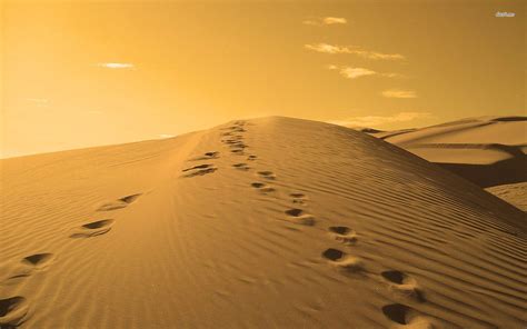 Footprints In The Sand Wallpapers - Wallpaper Cave