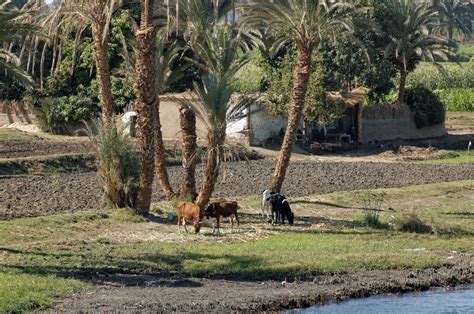 Nile River-nile river egypt 6083