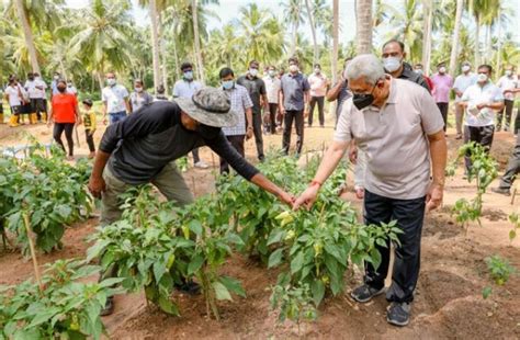 Lessons from Sri Lanka on organic farming | Sri Lanka Guardian