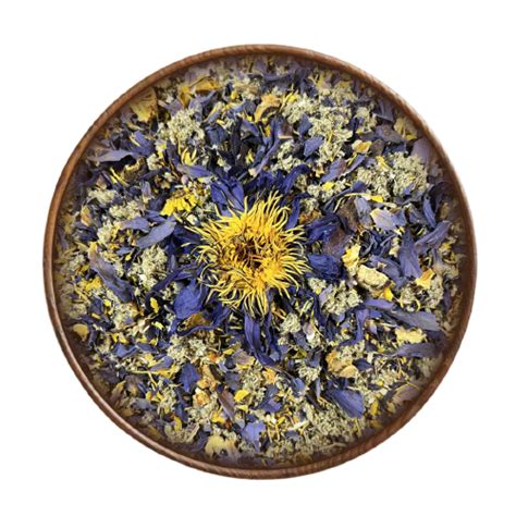 Lucid Dreaming Tea - Blue Lotus + Mugwort | Wildcrafted Organic