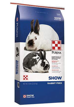 Feeding Healthy Rabbits | Purina Animal Nutrition