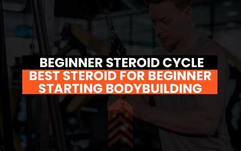 Beginner Steroid Cycle Best Steroid For Beginner Starting Bodybuilding