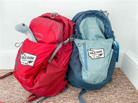 The Best Backpack for Travel With Kids: 9 Backpacks For Families - The ...