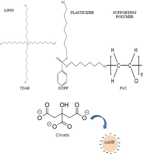 Structure of the lipid, plasticizer and supporting polymer used for the... | Download Scientific ...