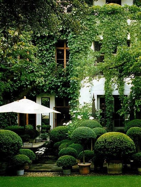 Boxwood Landscaping Ideas | Landscaping