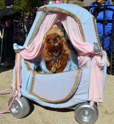 28 best Disney Dog Costumes images on Pinterest | Animal costumes, Doggies and Costume ideas