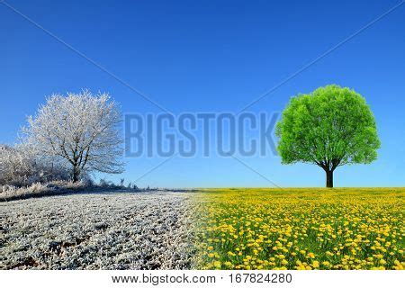 Winter Spring Image & Photo (Free Trial) | Bigstock