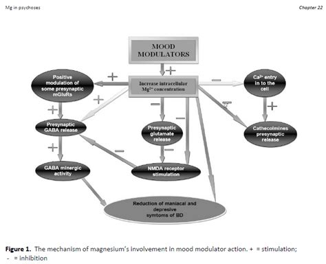 Epiphany: Magnesium in Autism and other Neurological/Psychiatric Diseases