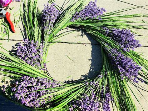 Fresh Lavender Wreath DIY | Provident Princess in 2021 | Lavender ...