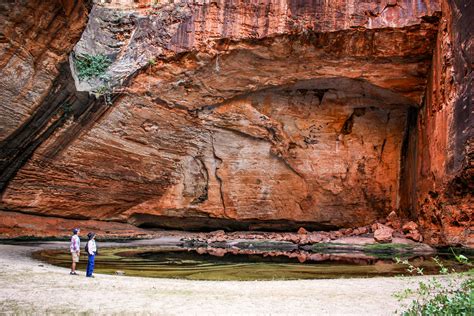 CATHEDRAL GORGE, the DOMES AND ECHIDNA CHASM GUIDED WALK - Bungle Bungle Guided Tours