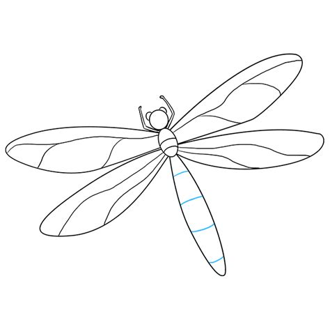 Dragonfly Wings Drawings