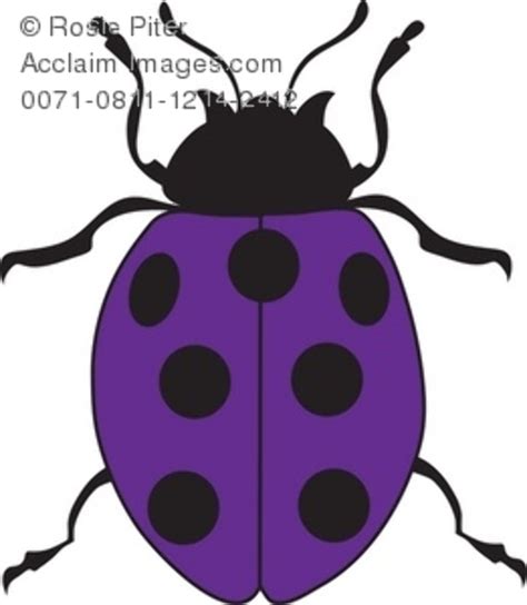 Download High Quality ladybug clipart purple Transparent PNG Images - Art Prim clip arts 2019