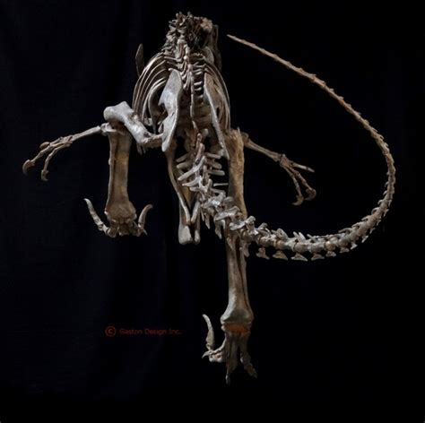 New Utahraptor Skeleton - Gaston Design, Inc.