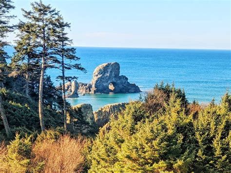 Ecola State Park - Oregon State Parks and Recreation in 2020 | Ecola state park, Oregon state ...