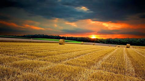 HD wallpaper: field, nature, land, wheat, landscape, agriculture, rural, farm | Wallpaper Flare