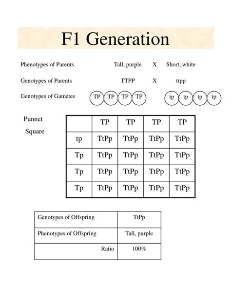 PPT - F1 Generation PowerPoint Presentation, free download - ID:6538877