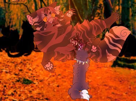 || Tigerstar's death || by AClD-RAlN on DeviantArt