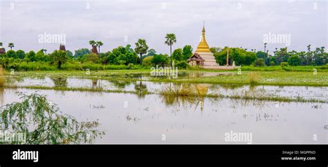 Nature of Myanmar Stock Photo - Alamy