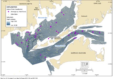 Figure 1 from Geological sampling data and benthic biota classification: Buzzards Bay and ...