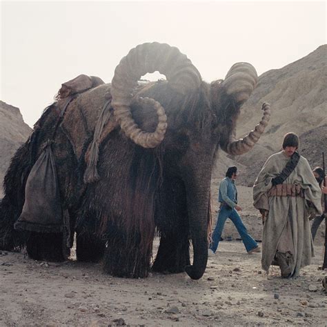 Bantha elephant and tusken raider bts 01 | Star wars trilogy, Star wars ...